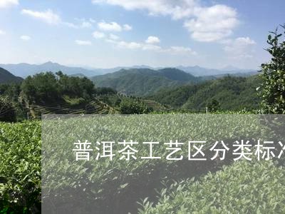 普洱茶工艺区分类标准/2023110664936