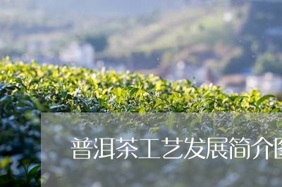 普洱茶工艺发展简介图/2023050592916