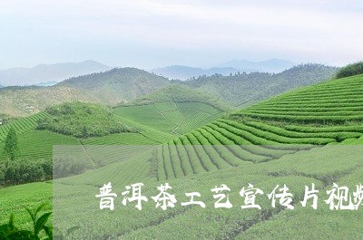 普洱茶工艺宣传片视频/2023092528572