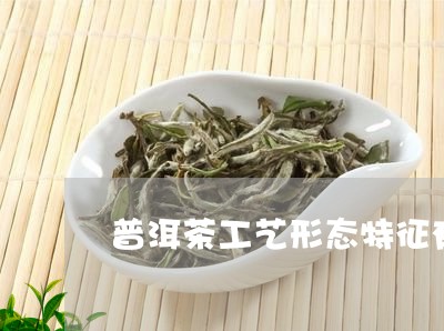 普洱茶工艺形态特征有哪些/2023112505140