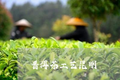 普洱茶工艺昆明/2023083010381