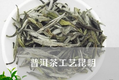 普洱茶工艺昆明/2023121676363