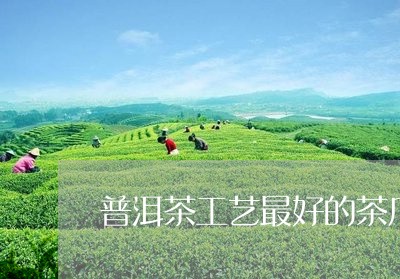 普洱茶工艺最好的茶厂排名/2023112404927