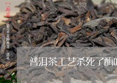 普洱茶工艺杀死了酶吗/2023092895158