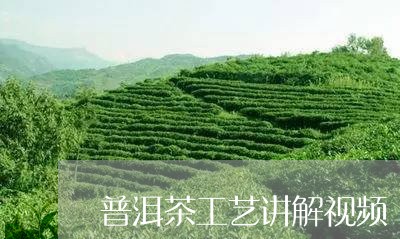 普洱茶工艺讲解视频/2023071131583