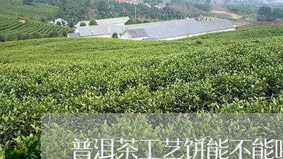 普洱茶工艺饼能不能喝/2023072493036