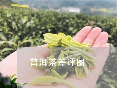 普洱茶差评图/2023121690694