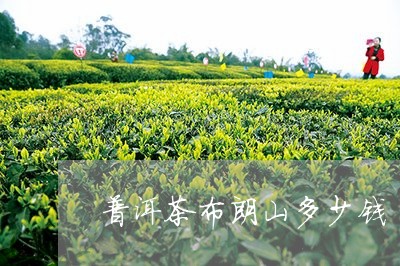 普洱茶布朗山多少钱/2023071145050