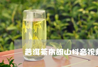 普洱茶布朗山抖音视频/2023061720482