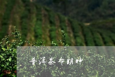 普洱茶布朗神/2023042647280