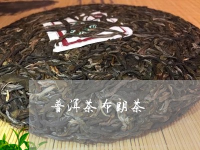 普洱茶布朗茶/2023042852282