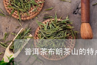 普洱茶布朗茶山的特点/2023080148472