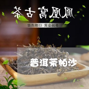 普洱茶帕沙/2023090607957