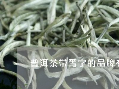 普洱茶带菁字的品牌有那些/2023110608461