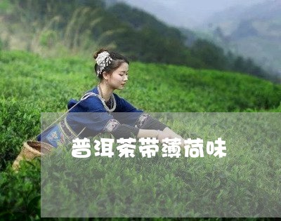 普洱茶带薄荷味/2023110602818