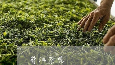 普洱茶常/2023110823613