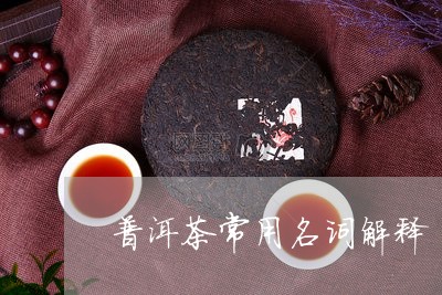 普洱茶常用名词解释/2023112761626