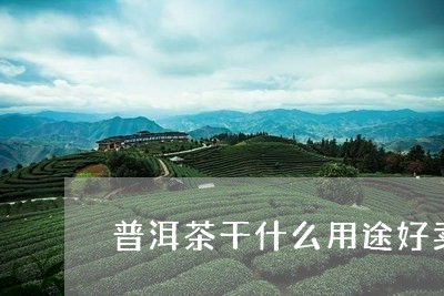 普洱茶干什么用途好卖些/2023121685341