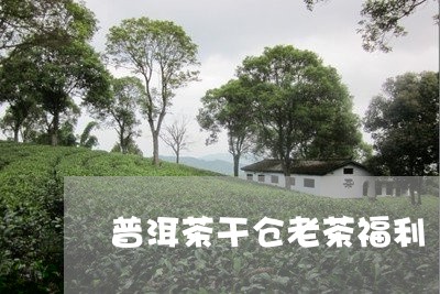 普洱茶干仓老茶福利/2023101703736