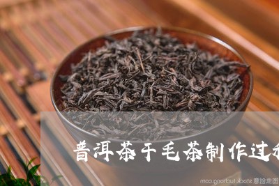 普洱茶干毛茶制作过程/2023092873938