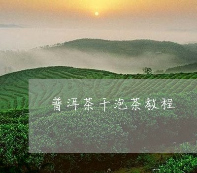 普洱茶干泡茶教程/2023120465271