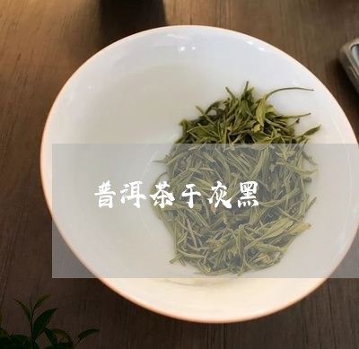 普洱茶干灰黑/2023042750151