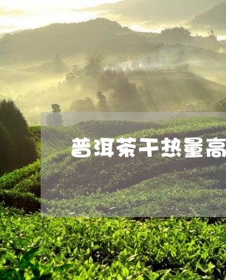 普洱茶干热量高吗/2023110682947