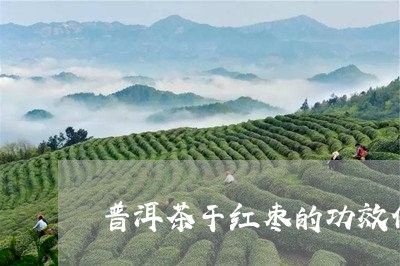 普洱茶干红枣的功效作用/2023050654835