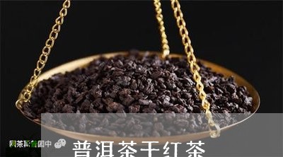 普洱茶干红茶/2023042820684