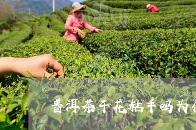 普洱茶干花粘手吗为什么/2023050491492