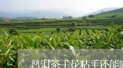 普洱茶干花粘手还能喝吗/2023110615147