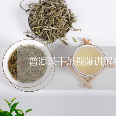 普洱茶干茶视频讲解全集/2023110428369