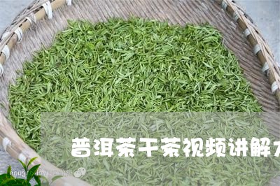 普洱茶干茶视频讲解大全/2023082772694