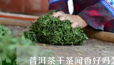 普洱茶干茶闻香好吗怎么喝/2023112550836