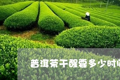 普洱茶干醒要多少时间/2023062948593