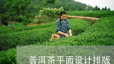 普洱茶平面设计排版/2023110629591