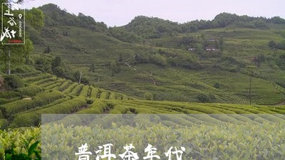 普洱茶年代/2023090685052