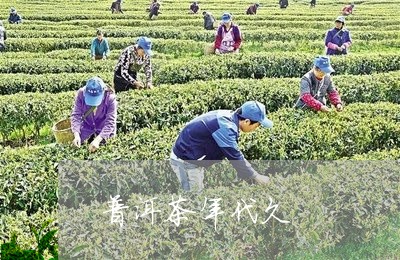 普洱茶年代久/2023042681183