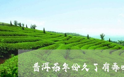 普洱茶年份久了有毒吗/2023080199494