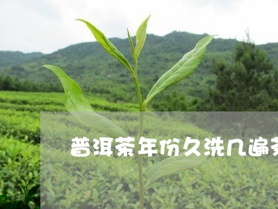 普洱茶年份久洗几遍茶好/2023110637151