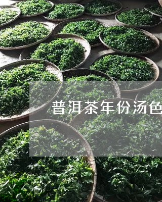 普洱茶年份汤色的变化/2023072403825