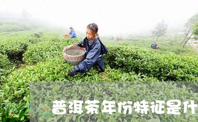 普洱茶年份特征是什么/2023101706394