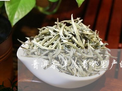 普洱茶年份看哪里产的比较好/2023052801391