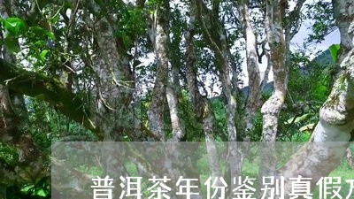 普洱茶年份鉴别真假方法/2023110193928