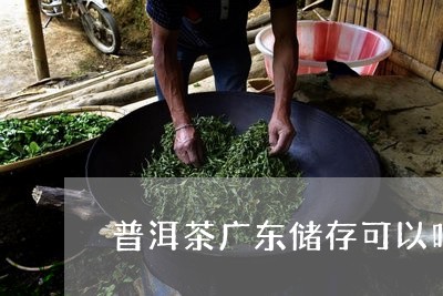 普洱茶广东储存可以吗冬天/2023082823636