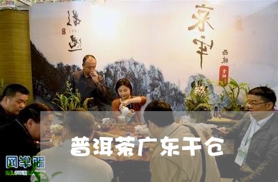 普洱茶广东干仓/2023101696259