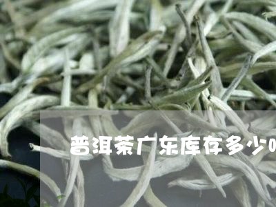 普洱茶广东库存多少吨正常/2023112462927