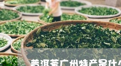 普洱茶广州特产是什么品牌/2023082727581