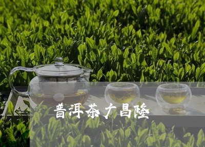 普洱茶广昌隆/2023042640257