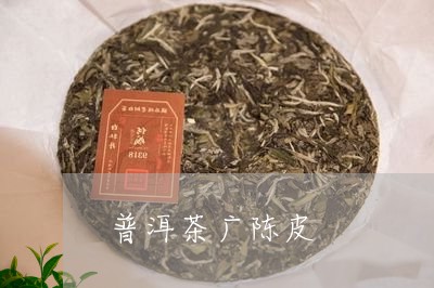 普洱茶广陈皮/2023042739519